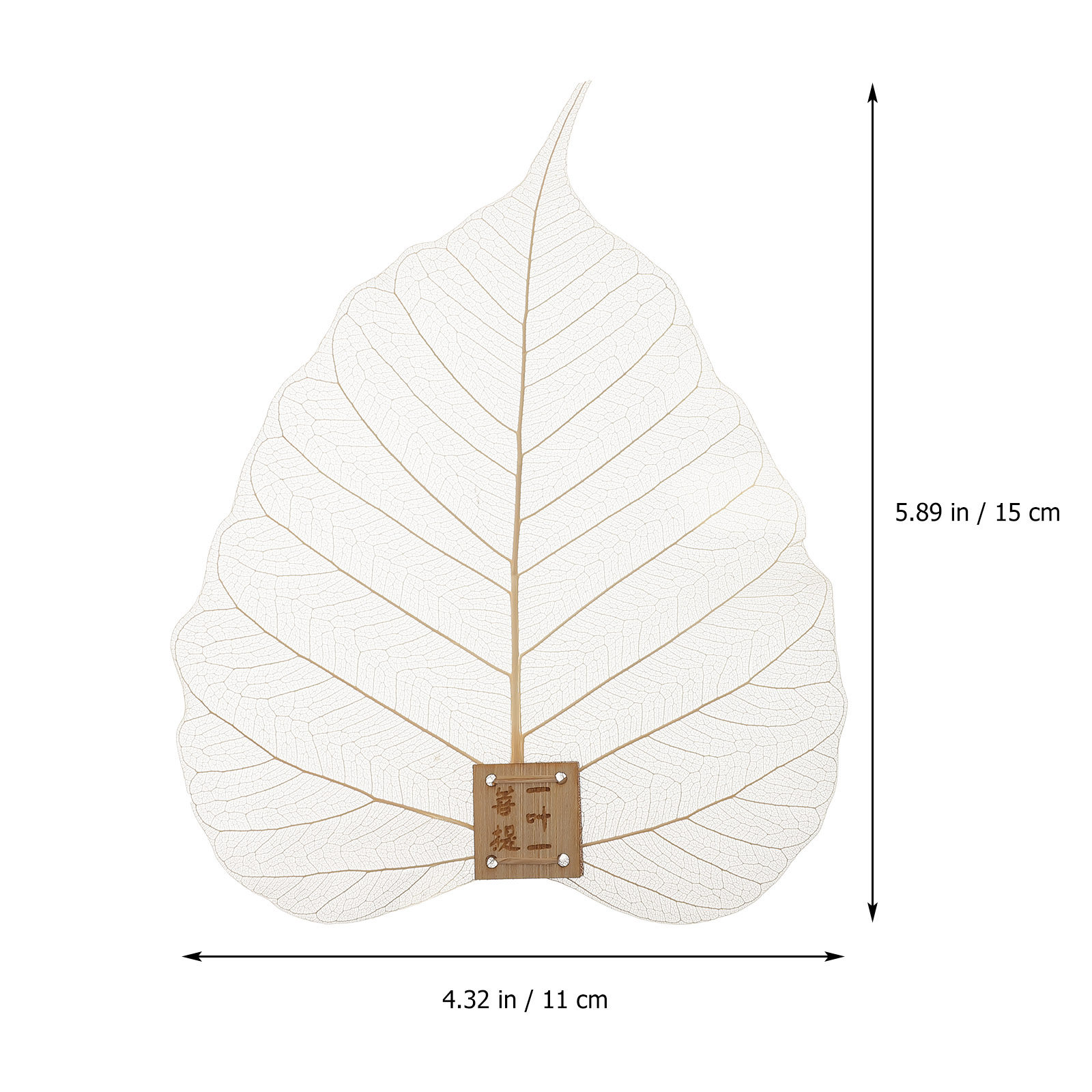 Filtre infuseur en forme de fe - Home Bar Supplies avis et prix